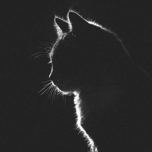 Meet your Posher, Elida